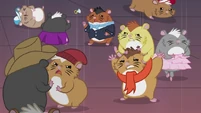 Hamsters feuding EG2.jpg (59 КБ)