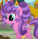 Petunia Petals ID MLPRR