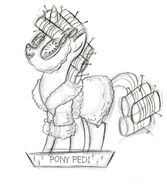 Pony Pedi