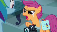 Scootaloo "I don't like what I found out!" S7E7