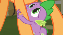 Spike hugging Applejack's leg S03E09