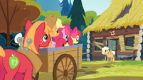 The Apples and Pinkie listening to Goldie talking S4E09