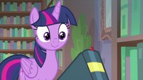 Twilight notices ladybug on the book MLPS4