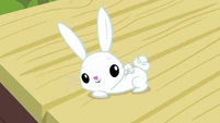 Nice posing, Angel!