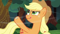 Applejack testing the wind S6E18.png (989 KB)