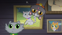 Cats looking with cat pictures in the background S4E09