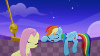 Fluttershy and Rainbow Dash sleeping MLPRR