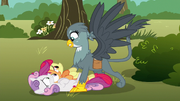 Gabby pounces on the Cutie Mark Crusaders S6E19