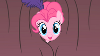 Pinkie Pie Curtain Peek S1E21