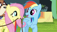 Rainbow Dash "we're home free!" S4E22