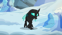Thorax looking sadder than ever S6E16
