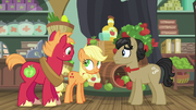 Young Applejack makes her first scrunchy face S6E23