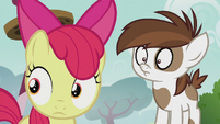 Apple Bloom and Pipsqueak hears Silver Spoon S5E18