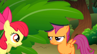 Apple Bloom says sorry to Scootaloo S01E18