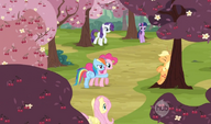 Closing in on Applejack in the cherry orchards S2E14