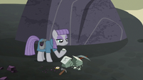 Maud Pie continues mining near Our Town S7E4