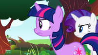 "You´re ruining our efforts to save Ponyville!"