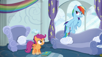 Rainbow Dash "obviously!" S6E14