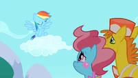 Why would they even consider Rainbow Dash?