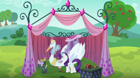 Rarity polishing the swan cart S6E14