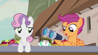 Scootaloo -shouldn't have taken the binoculars- S7E8