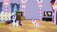 Rarity heard what Sweetie Belle said.