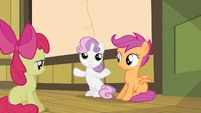 ..or maybe a dress from Rarity or..?