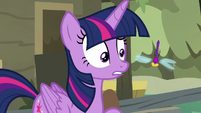 Twilight Sparkle looking at a dragonfly S7E20