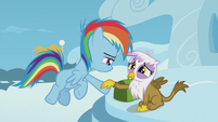 Young Rainbow extends a hoof to Gilda S5E8