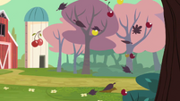 Cherry farm's orchards S2E14