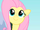 Fluttershy "Way to go!" S1E16.png