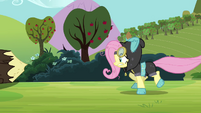 Fluttershy running S3E05