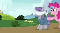 Pinkie Pie pushing a blindfolded Maud S7E4