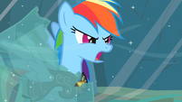 Rainbow Dash "Earth ponies are numbskulls!" S2E11