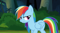 Rainbow Dash --if I just leave you in the jungle-- S6E13