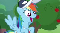 Rainbow Dash cheering the team on S9E15