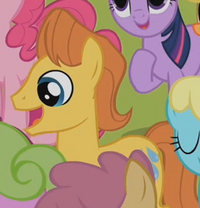 Warm Front Earth pony ID S2E08