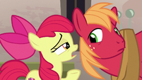 Apple Bloom asking Big Mac if he has a crush S7E8