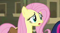 Fluttershy -maybe there's somepony we can ask- S7E20