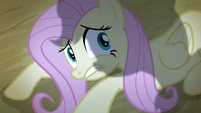 Fluttershy cowering down S4E07