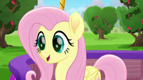 Fluttershy hears Twilight Sparkle coming MLPRR