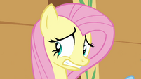 Fluttershy oh boy S2E22