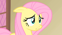 Fluttershy oh my S01E22