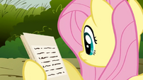 Fluttershy pamphlet S02E19