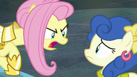 Fluttershy yelling at Blueberry Curls S8E4