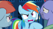 Rainbow Dash -this is exactly why- S7E7