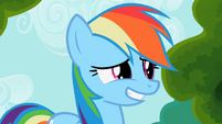 Rainbow Dash awkward smile S2E08