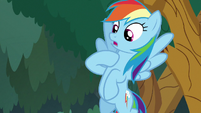 Rainbow Dash pointing at herself S8E9