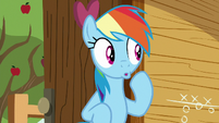 Rainbow pretending to be surprised S8E20