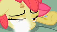 Her multiple cutie marks vanishing.